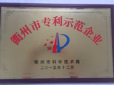 專(zhuān)利示范企業(yè)